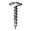 Grip-Rite Pro-Twist No. 8 Wire X 1 In. L Phillips Truss Head Lath Screws 1 Lb