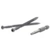 FastenMaster TrapEase No. 20 X 2-1/2 In. L Rope Swing Torx Ttap Star Head Composite Deck Screws 350