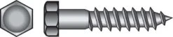 Hillman 5/16 In. X 1 In. L Hex Zinc-Plated Steel Lag Screw 100 Pk