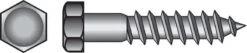 Hillman 5/16 In. X 2 In. L Hex Zinc-Plated Steel Lag Screw 100 Pk