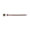 Big Timber No. 8 Ga. X 2 1/2 In. L Phillips Drywall Screws 5 Lb