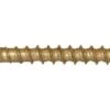Screw Products No. 7 X 2 In. L Star Bronze Wood Screws 1 Lb Lb 181 Pk
