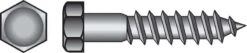 Hillman 5/8 In. X 10 In. L Hex Zinc-Plated Steel Lag Screw 25 Pk