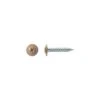 Big Timber No. 8 X 1 In. L Phillips Screws 1 Lb 193 Pk